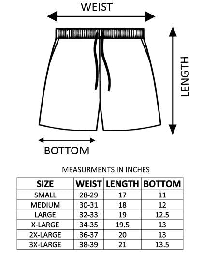 Men's Royal Blue Stripe Swim Shorts
